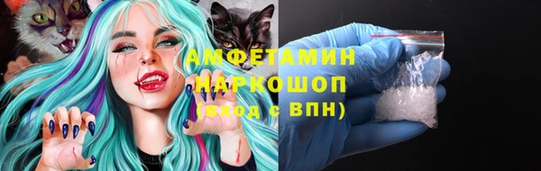 гашик Белокуриха